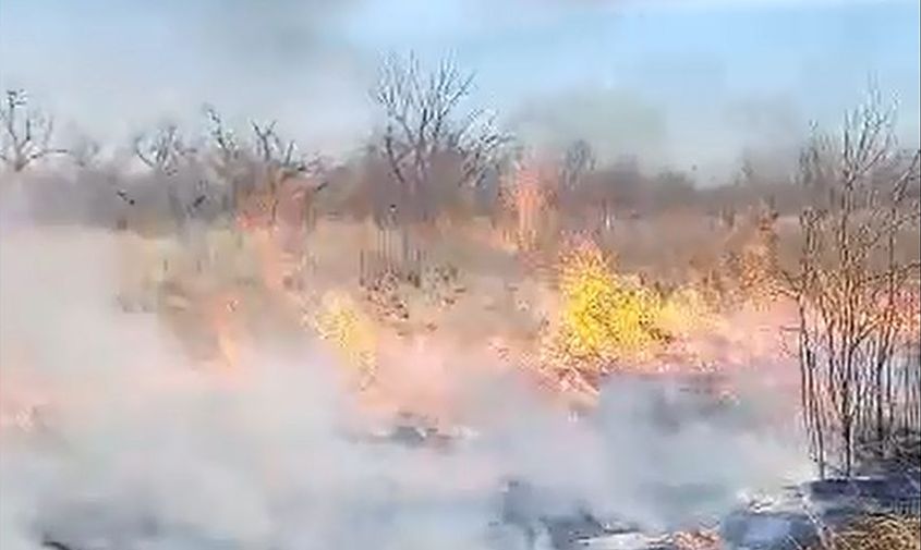 в благовещенске и благовещенском округе вводится пожароопасный сезон и особый противопожарный режим 
