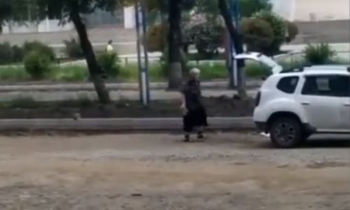 в благовещенске хозяйственная пенсионерка поживилась тротуарной плиткой на улице горького