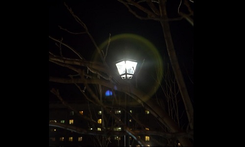 сквер возле бывшего кинотеатра «харбин» получил «умное» освещение
