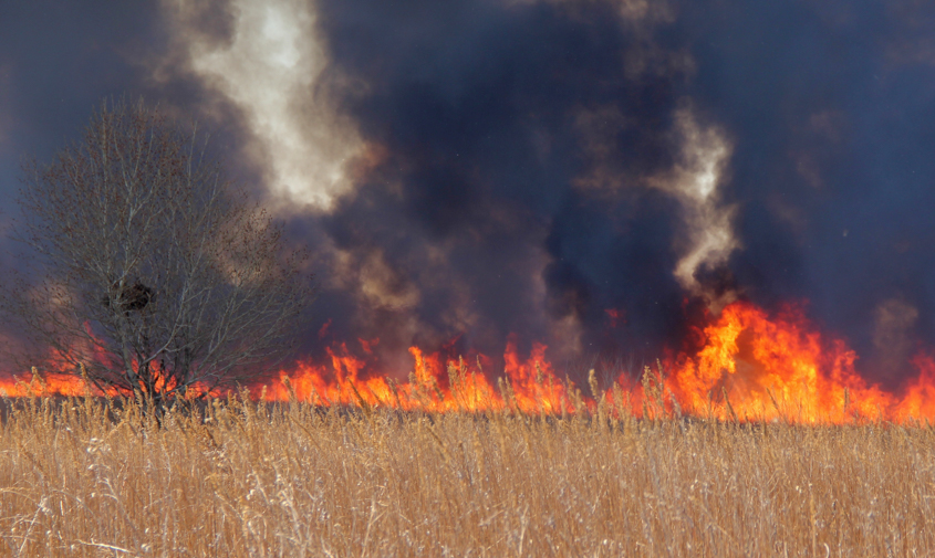 природный пожар возник в зейском округе из-за грозы
