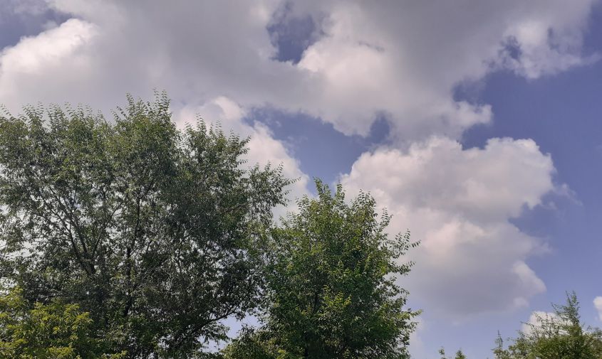 прогноз погоды в амурской области на 27 июня