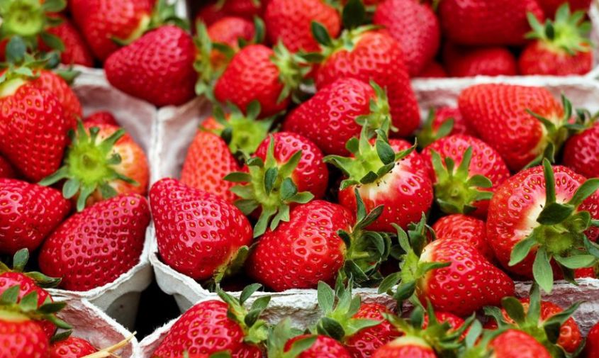врач-аллерголог рассказала, сколько фруктов и ягод в день можно есть без вреда для здоровья
