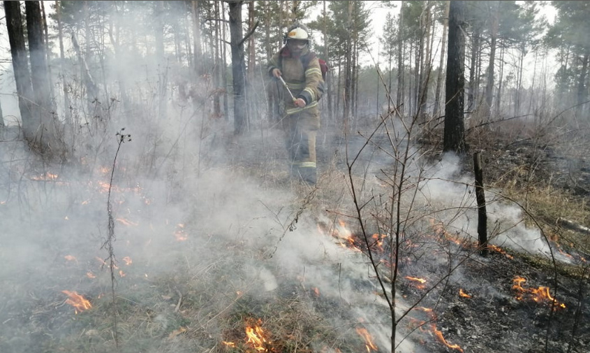 за сутки амурские пожарные потушили восемь палов на территории более 100 гектаров
