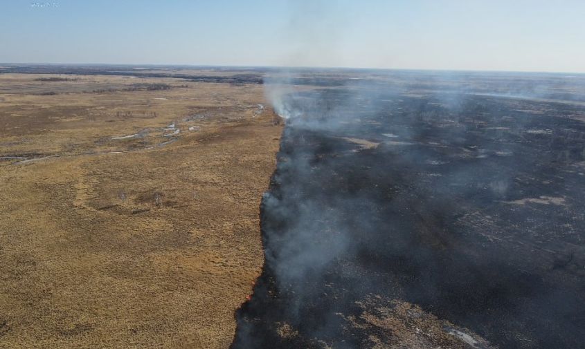 три природных пожара действуют в архаринском округе
