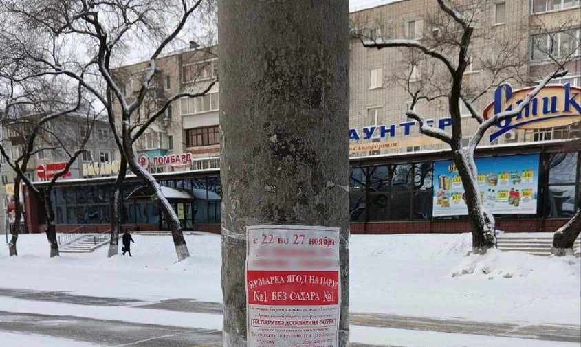 организатора ярмарки ягод оштрафуют за незаконную рекламу на улицах благовещенска
