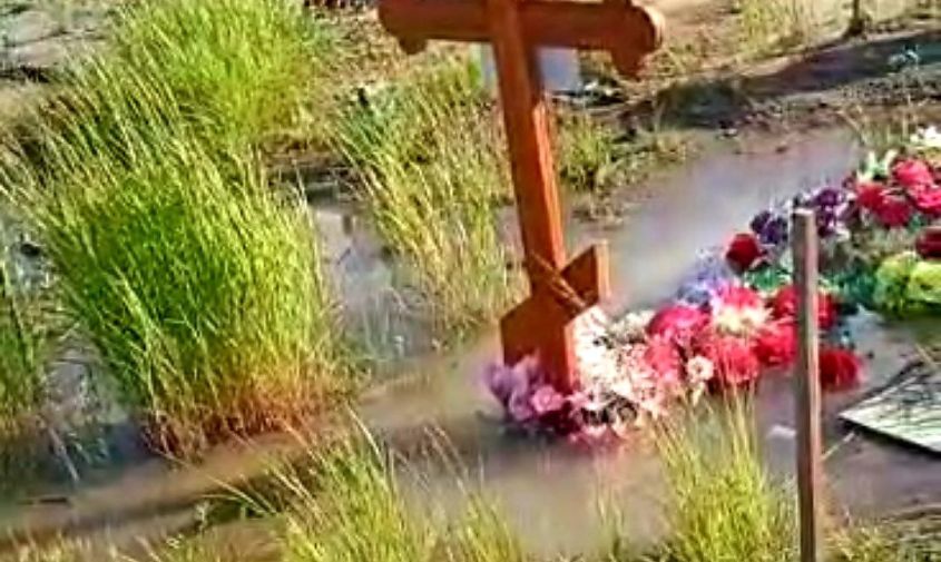 «все в болоте, и лягушки квакают»: городское кладбище в зее снова затопило

