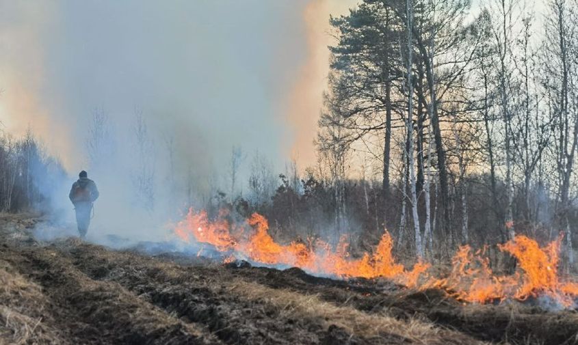 в приамурье продолжает гореть лес: за сутки удалось ликвидировать два пожара