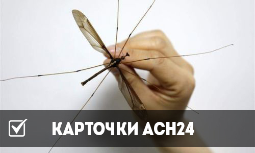 карточки асн24: малярийные комары-гиганты — правда или детская страшилка?
