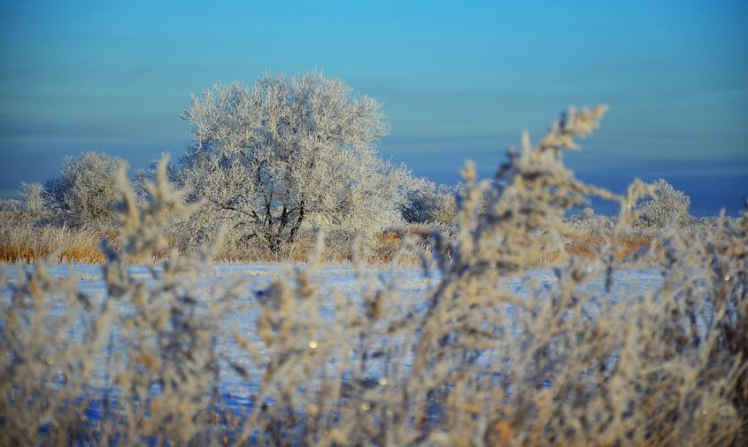 прогноз погоды в амурской области на 22 ноября