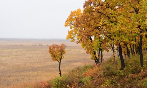 прогноз погоды в амурской области на 15 октября

