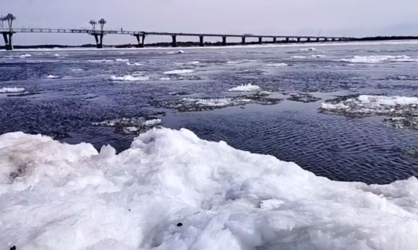 амур и зея в районе благовещенска почти полностью освободились ото льда
