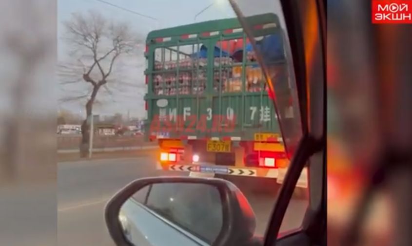 почти как в рекламе: благовещенка увидела грузовик с колой из китая
