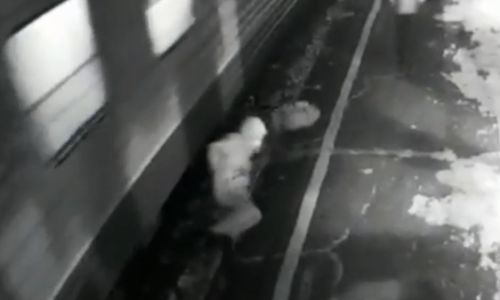 амурчанина затянуло под поезд на шимановском железнодорожном вокзале 