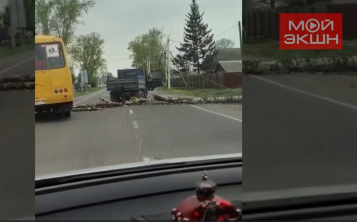 «А если бы на чью-то машину?!»: в Тамбовке из-за сильного ветра на дорогу упал сухой тополь