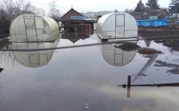 жители райчихинска пожаловались на ручей, заливающий теплицы и постройки со скотом
