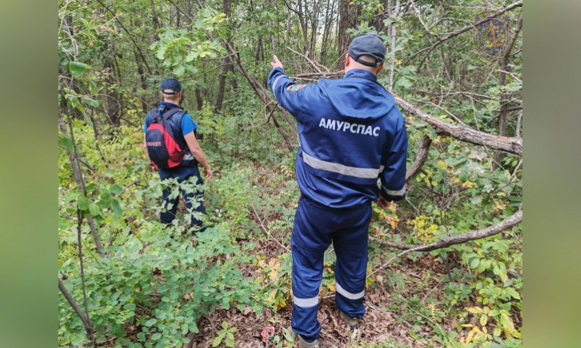 мужчину, пропавшего в районе моховой пади, ищут спасатели, кинологи и следователи