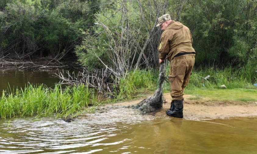 амурчане стали меньше загрязнять водоемы сетями и мусором
