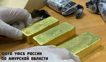 Эльдорадо по-амурски: благовещенец нашел в мусоре три золотых слитка стоимостью 55 миллионов рублей
