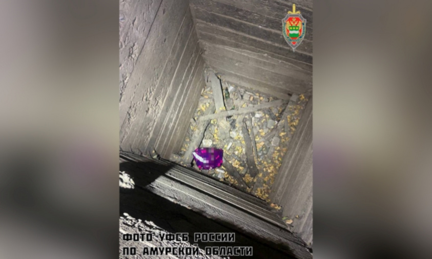 В Приамурье иностранцу за попытку сбыта наркотиков грозит 20 лет колонии