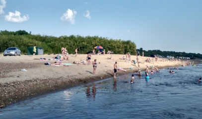 Палочки и бактерии: мониторинг амурских водоемов выявил проблемные зоны для купания