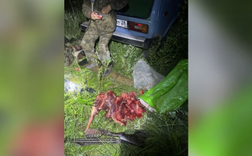Браконьер со стажем из Шимановска, лишенный охотничьего билета, вновь убил косулю на солонце