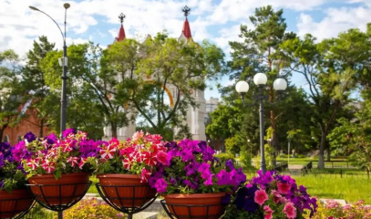 Кустарники в Благовещенске продолжат высаживать и осенью (ФОТО)
