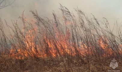 природные пожары в приамурье тушат около 400 человек