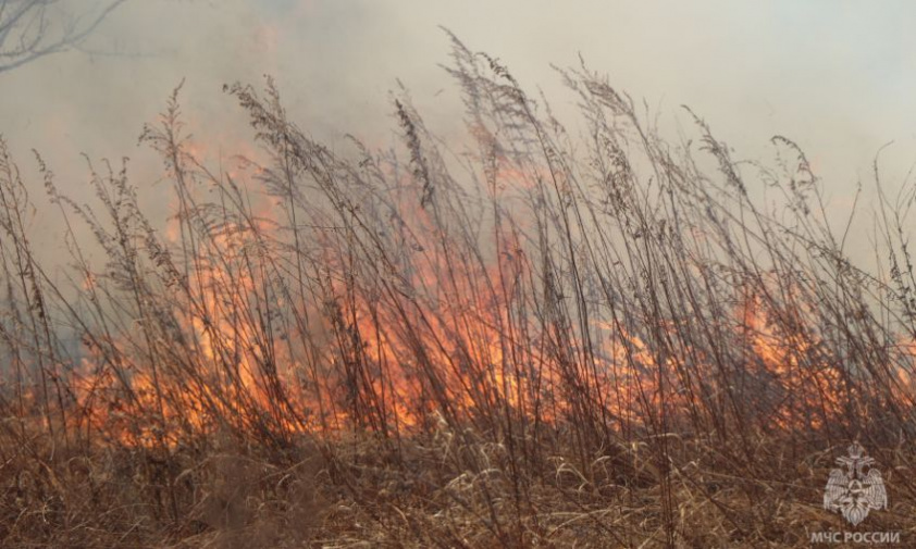 природные пожары в приамурье тушат около 400 человек