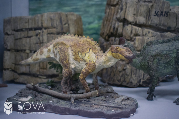 Зубы, лапы, позвонки: что посмотреть в благовещенском музее динозавров?
