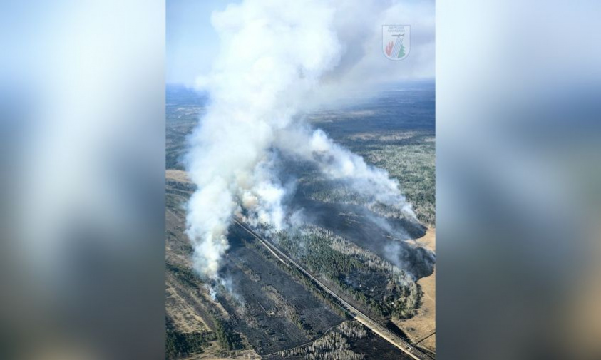 в амурской области полыхают 16 природных пожаров