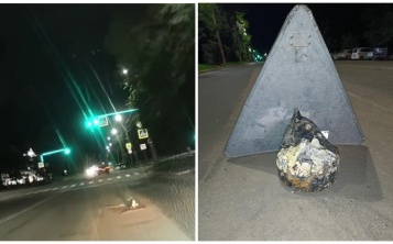 Благовещенка попала в ДТП из-за внезапного препятствия на дороге