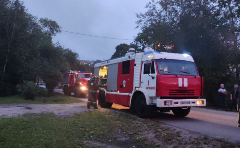52 человека погибли в пожарах в Приамурье с начала года