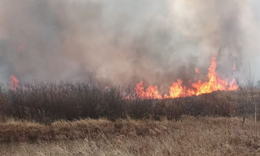 «улицу отстояли»: огонь от палов подошел вплотную к амурскому селу богородскому