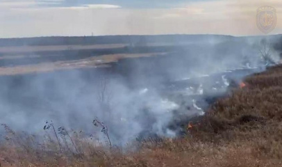 «не жгите костры!»: в приамурье за сутки выявили 17 палов сухой растительности