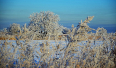 Фото новости