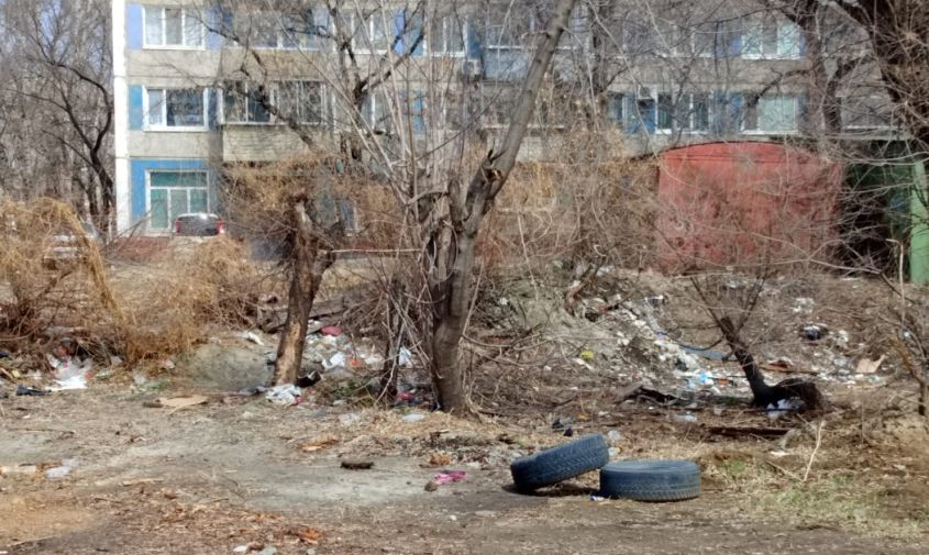 «вопрос к жителям данного района»: в мэрии благовещенска прокомментировали жалобы горожан на заваленную мусором улицу
