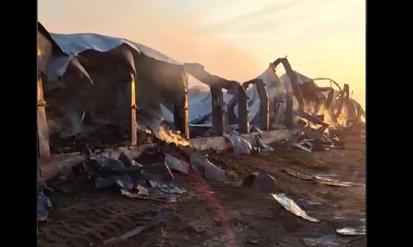 в амурской области загорелся склад: огонь уничтожил 380 тонн зерна